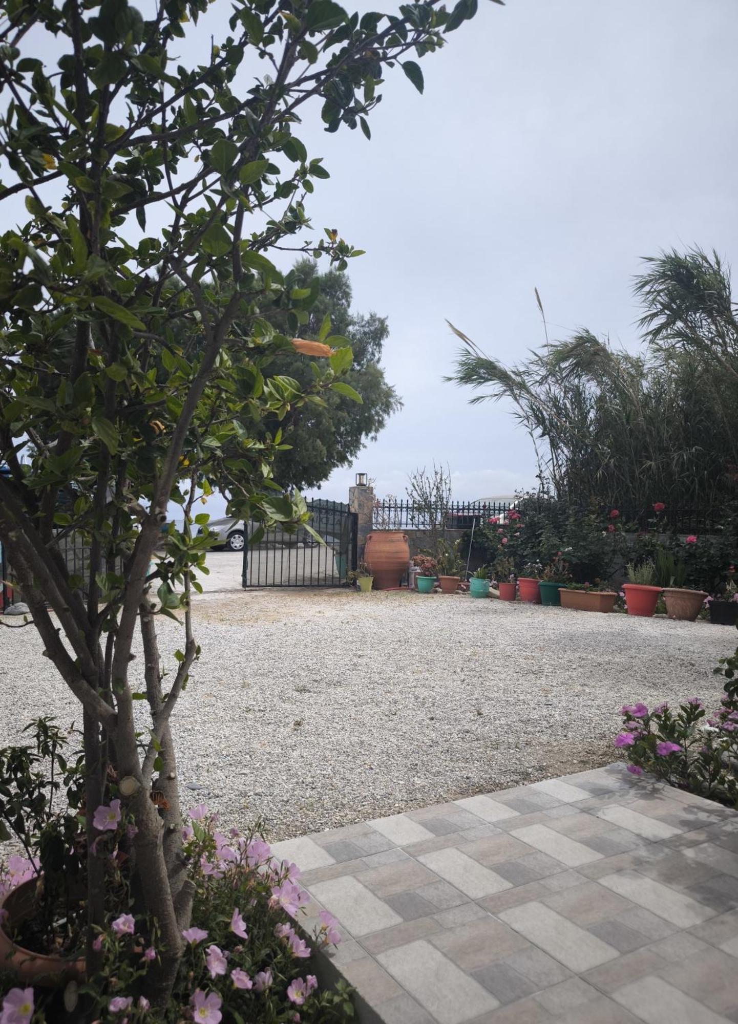 Alexia Rooms Palaiochora Dış mekan fotoğraf